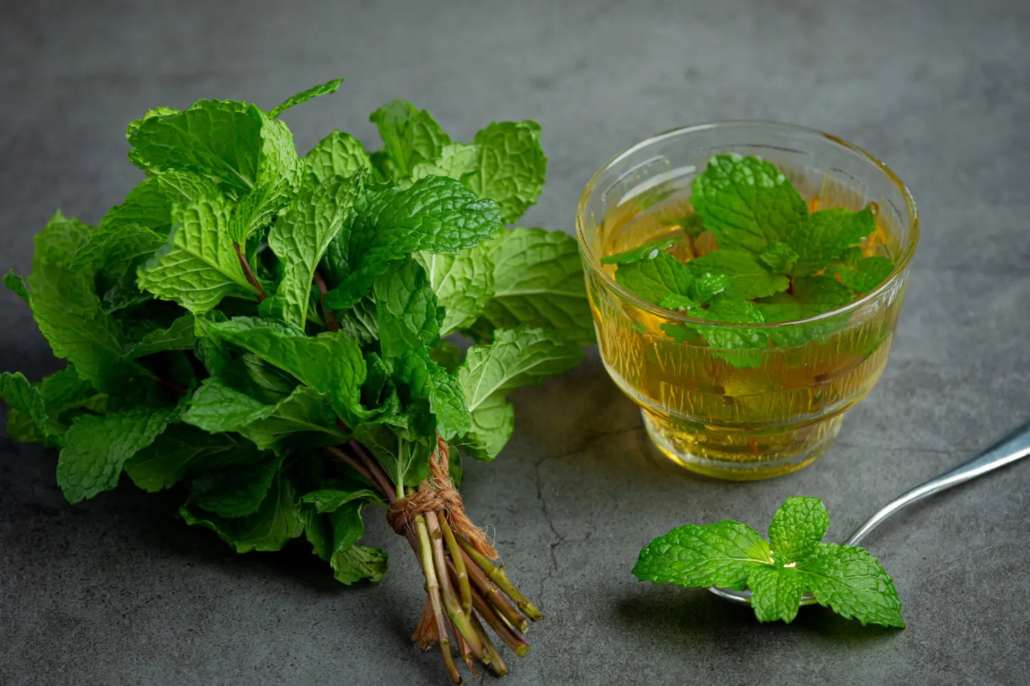How Lemon Balm Supports Digestion and Reduces Stress